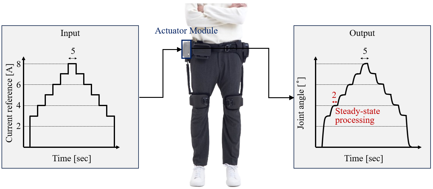 Input currents and estimated output joint angles of body parameter identification