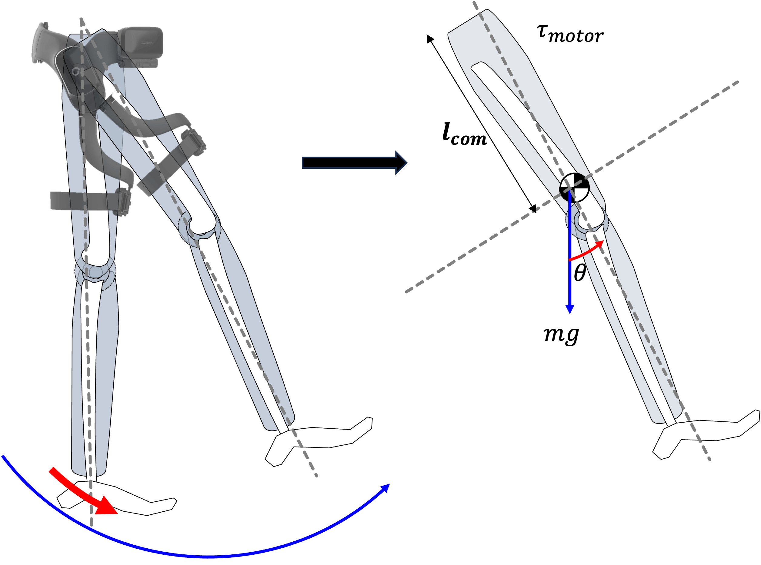 Illustration of the experimental procedure to identify the center of mass (CoM) of the leg